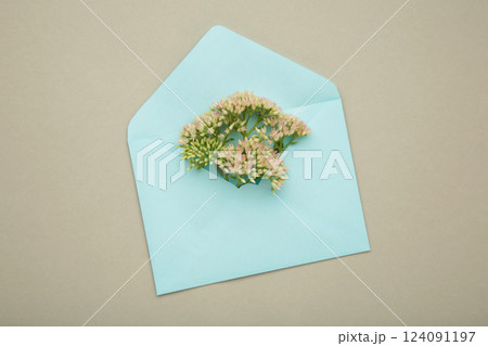 Composition with envelope and beautiful flowers on grey background Composition with envelope and beautiful flowers on grey background 124091197