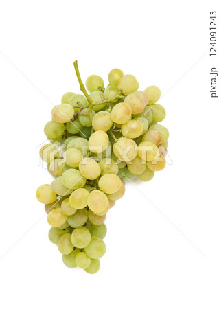 Green grape isolated on a white background. Green grape isolated on a white background. 124091243