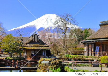 世界遺産　富士山　忍野八海 124091302
