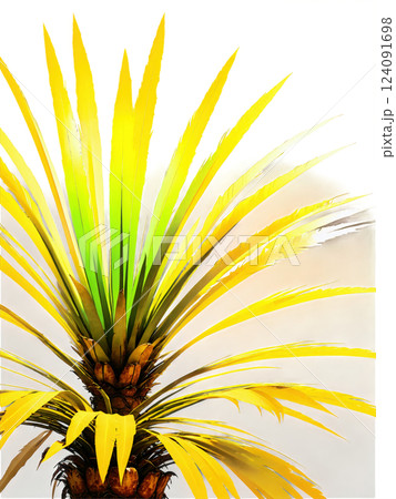 Senegal Date Palm Tree, feathery crown detail, dramatic uplighting, professional product photography, premium quality 124091698