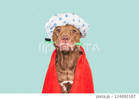 Cute dog, shower cap, toothbrush and towel Cute dog, shower cap, toothbrush and towel 124092187