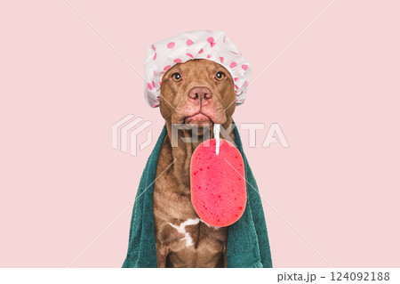Cute dog, shower cap, washcloth and blue towel 124092188