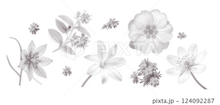 Set of spring flowers with vintage dotted halftone effect. Fritillaria, lungwort, glory-of-the-snow, primrose, liverwort collection with grunge noise texture. Vector illustration 124092287