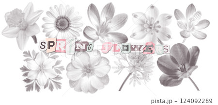 Cutout monochrome spring Halftone Flowers Set. Contemporary collage elements in a retro pop art style. Clipping scrapbook stickers. Vintage springtime herbarium. Vector 124092289