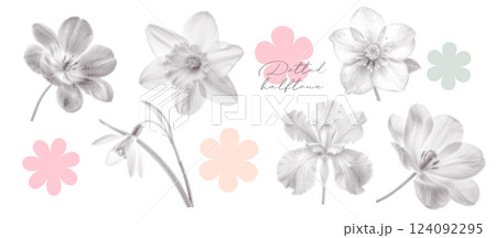 Collage of dotted halftone element with spring flowers. Photocopy , iris, snowdrop, daffodil, tulip, hellebore etc. stipple effect. Vintage vector illustration 124092295