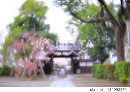 東京都府中市　安養寺の桜 124092972