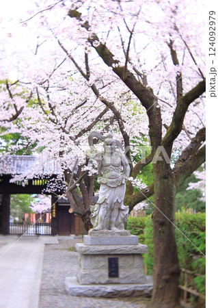 東京都府中市　安養寺の桜 124092979