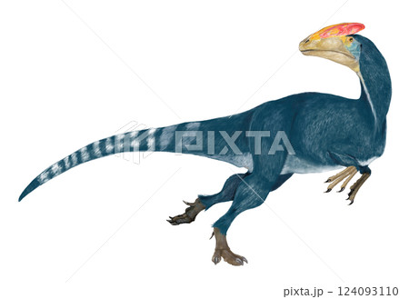 グアンロン ジュラ紀後期の原始的なティラノサウルス類の一種 グアンロン ジュラ紀後期の原始的なティラノサウルス類の一種 124093110