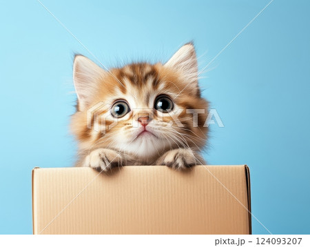 A charming striped kitten peeks out of a cardboard box on a blue background. The kitten has big round eyes expressing curiosity and surprise. His small paws hold onto the edge of the box. 124093207
