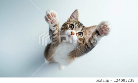 A playful tabby kitten is captured from above, reaching up with its paws outstretched. The kitten's wide eyes are full of curiosity and excitement, gazing directly at the camera.  124093239
