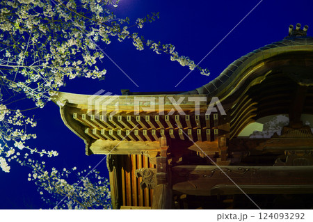 夜桜と山門-Cherry blossoms and the gate of the temple- 124093292