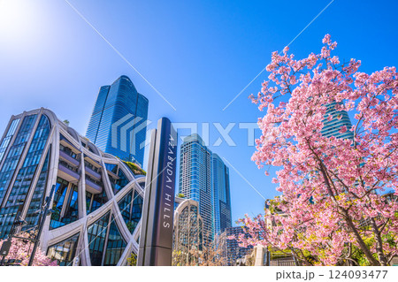 日本の東京都市景観 桜開花…新時代へ…（外国人観光客らで賑わう）麻布台ヒルズなどを望む＝3月7日 124093477