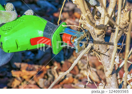 Close-up of a bush being trimmed with a mini electric saw. Spring gardening on a sunny day. 124093565