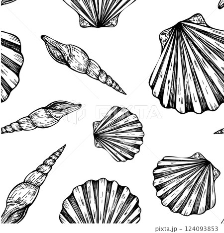 Seamless pattern with beautiful shells. Hand painted line seashell. Graphic clip art isolated on background. Underwater illustration. For designers, invitations, decoration, postcards, wrapping paper 124093853