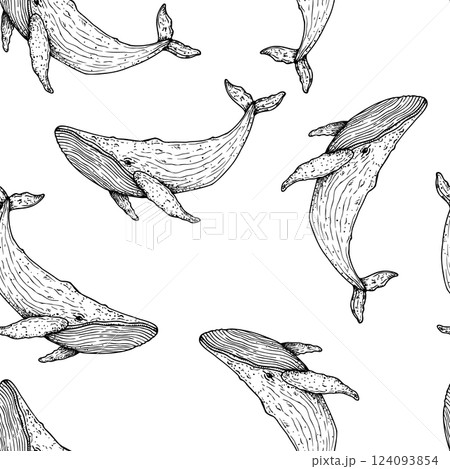 Seamless pattern with Big whale. Hand painted marine animal. Graphic tropical clip art isolated on background. Underwater illustration. For designers, invitations, decoration, postcards, wrapping 124093854