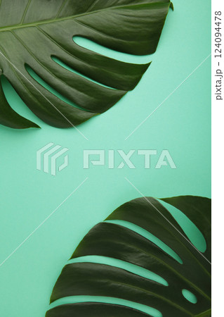 Tropical leaves Monstera on mint background. Space for text. Vertical photo 124094478