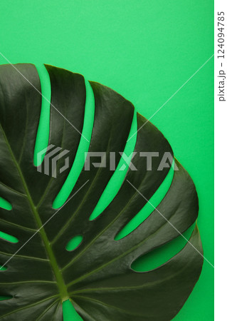 Big green leaf of Monstera plant on green background. Macro photo. Vertical photo Big green leaf of Monstera plant on green background. Macro photo. Vertical photo 124094785