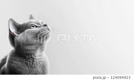 A black and white portrait of a young grey cat looking upwards with curiosity. The image captures the cat's profile, highlighting its alert ears, whiskers, and attentive gaze.  124094923