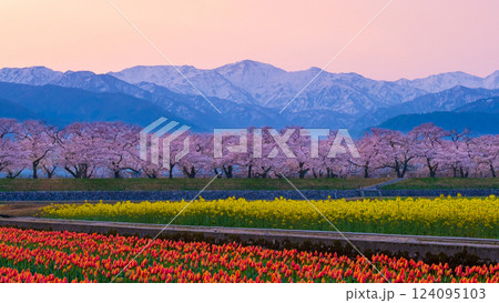 あさひ舟川・春の四重奏 124095103