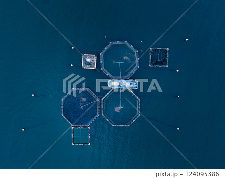 海の上の養殖筏と漁船 海の上の養殖筏と漁船 124095386