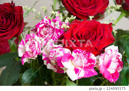 赤い薔薇とフラッシング 124095575