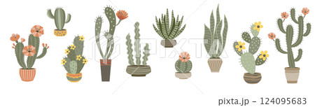 Cute cacti and succulents in pots. Exotic potted plants collection 124095683