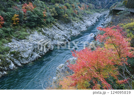 錦秋の大歩危峡を上る観光遊覧船 錦秋の大歩危峡を上る観光遊覧船 124095819