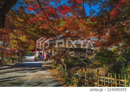 豊橋市にある紅葉に包まれた普門寺の風景(愛知県) 124095855