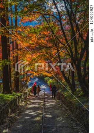 豊橋市にある紅葉に包まれた普門寺の風景(愛知県) 豊橋市にある紅葉に包まれた普門寺の風景(愛知県) 124095927