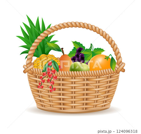 wicker basket with fruits vector illustration 124096318
