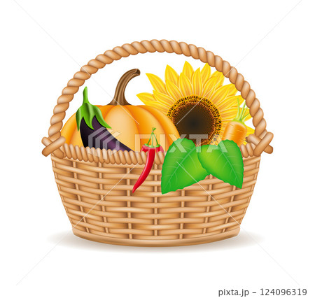 wicker basket with vegetables vector illustration 124096319