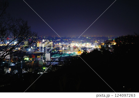 足利市夜景と中橋/栃木県足利市織姫公園 足利市夜景と中橋/栃木県足利市織姫公園 124097263