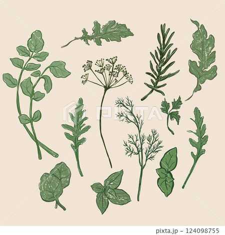 Vector vegetable doodle set of dill, parsley, basil, rosemary, greenery, herbs. Hand-drawn garden harvest sketch with vintage texture. Tasty food for design, veggie market drawing print or background. Vector vegetable doodle set of dill, parsley, basil, rosemary, greenery, herbs. Hand-drawn garden harvest sketch with vintage texture. Tasty food for design, veggie market drawing print or background. 124098755