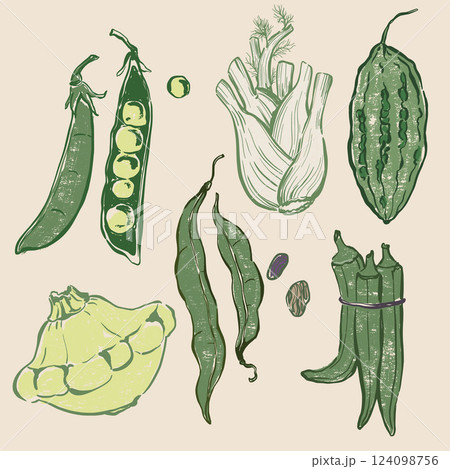 Vector vegetable doodle set of pattypan squash, okra, peas, beans and fennel. Hand-drawn garden harvest sketch with vintage texture. Tasty food for design, veggie market drawing print or background. 124098756