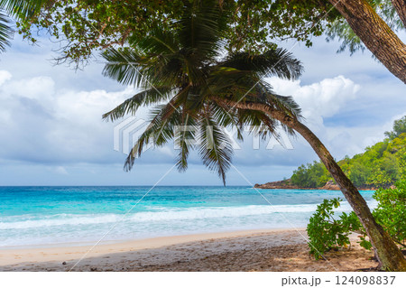 Beautiful tropical beach scene featuring palm trees Beautiful tropical beach scene featuring palm trees 124098837