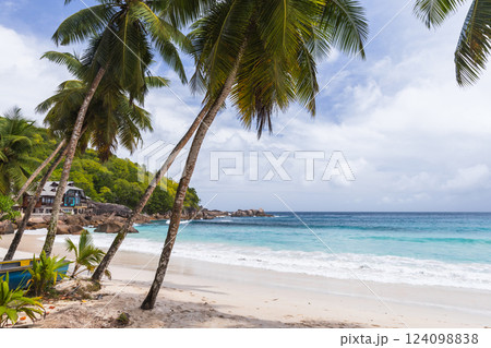 Relaxing tropical beach scene featuring tall palm tree Relaxing tropical beach scene featuring tall palm tree 124098838