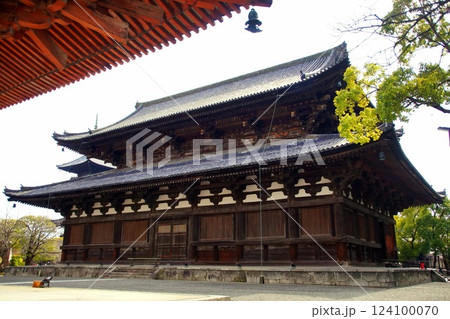 京都府 東寺・金堂(国宝) 京都市 南区 九条町 2022年2月 京都府 東寺・金堂(国宝) 京都市 南区 九条町 2022年2月 124100070