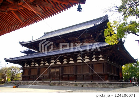 京都府　東寺・金堂（国宝） 京都市 南区 九条町　2022年2月 124100071