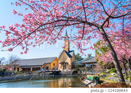 【なばなの里・桜まつり】河津桜とチャペル 124100643