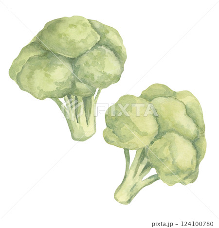 A duo of watercolor broccoli heads with soft green tones and realistic details. This vegetable clipart suits kitchen wall art, farm-to-table campaigns, and organic food branding 124100780