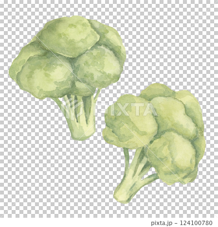 A duo of watercolor broccoli heads with soft green tones and realistic details. This vegetable clipart suits kitchen wall art, farm-to-table campaigns, and organic food branding 124100780