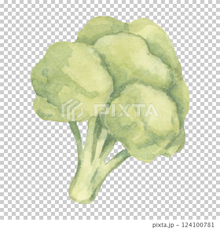 A single broccoli head painted in shades of green with a textured watercolor technique. This vegetable illustration is perfect for health-themed infographics, diet plans, and fresh produce packaging 124100781