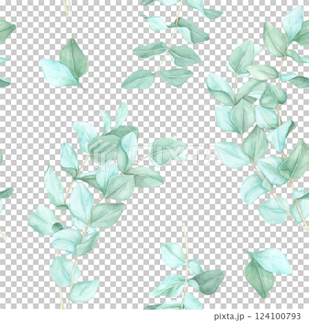 Eucalyptus branches with soft green leaves painted in watercolor. This seamless pattern clipart is ideal for textile design, botanical-themed packaging, and eco-friendly product branding 124100793
