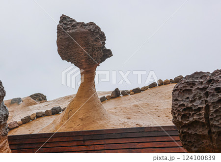 女王頭、風のささやき 124100839