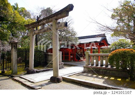京都府　東寺・八島神社 八島社殿　京都市 南区 九条町　2022年2月 124101107