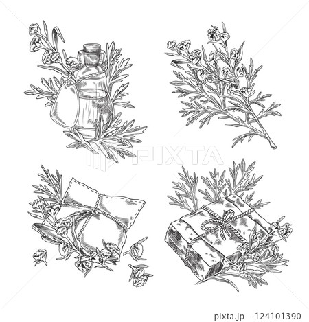 Wormwood plant and bottle of oil, essential aroma sachet, soap engraved sketch vector set, hand drawn Artemisia products 124101390
