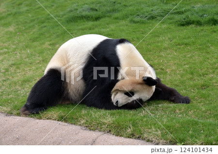 お休み中の結浜 124101434