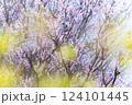 桜と菜の花の間から見える景色 124101445