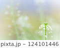優しいボケに包まれて 124101446