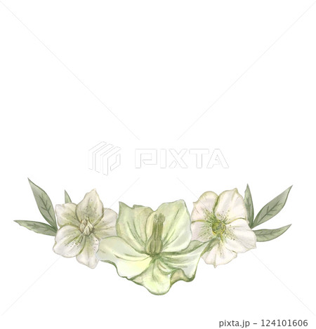 primrose watercolor primrose watercolor 124101606